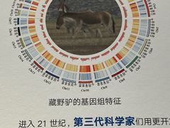 -四川大学博物馆