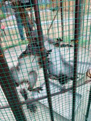 -萌宠亲子动物乐园(槐房万达店)