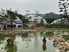 -盈香心动乐园