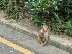 -黔灵山公园