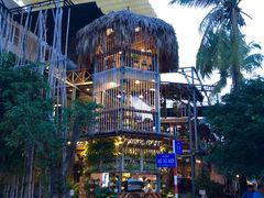 -Rainforest