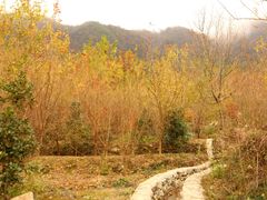 -塔川景区