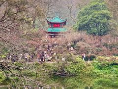 -岳麓山风景名胜区
