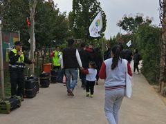 -古柏渡飞黄旅游区