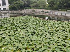 -苏州河梦清园环保主题公园