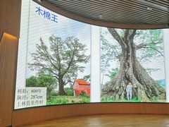 -漓江书院(三祺广场店)