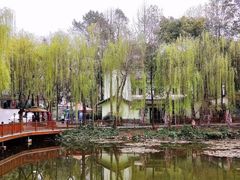 -三圣花乡旅游区