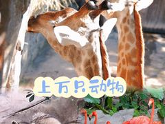 -长鹿旅游休博园