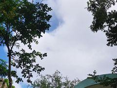 -观象山公园