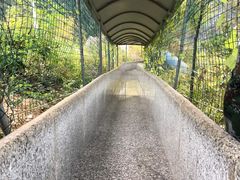 -龙潭大峡谷自然风景区