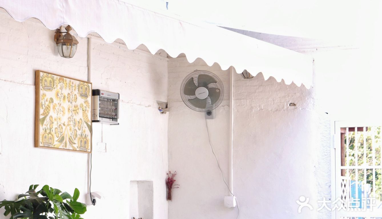 库存咖☕️和16岁“苏菲”，晒太阳、叹咖啡、聊人生