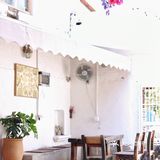 库存咖☕️和16岁“苏菲”，晒太阳、叹咖啡、聊人生