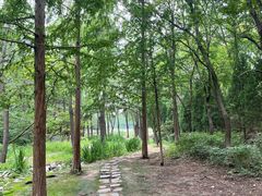 -云岗森林公园
