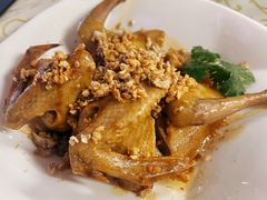 -百利鸽王(紫薇路店)