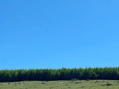-空中草原