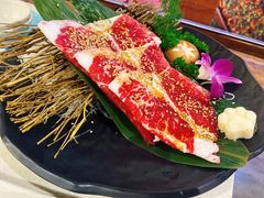 -猫爪爪原切自助烤肉(观音桥阳光世纪店)
