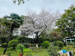 -昆山城市公园