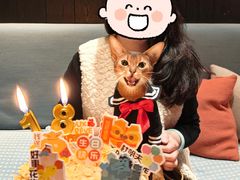 -THE CANNERY&JUJU 新鲜海鲜·牛排美食酒廊