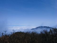 -大围山国家森林公园