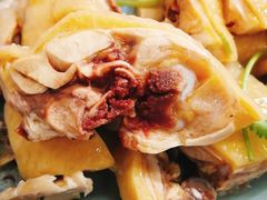 三黄鸡-九斤黄三黄鸡专卖店