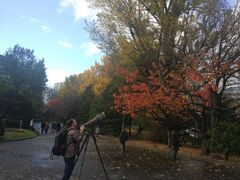 -北海道厅旧本厅舍(旧本庁舎)