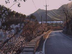 -崂山九水游览区