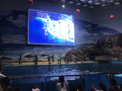 -福州罗源湾海洋世界旅游区