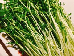 -川西坝子(老军营店)