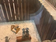 -宁波野生动物园
