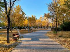 -北京奥林匹克公园