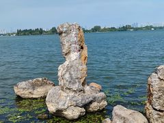 -东湖落雁景区