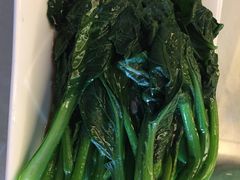白灼菜心-外沙疍家棚酒楼