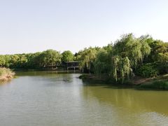 -尚贤河湿地