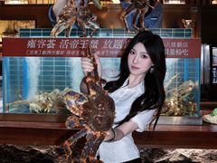 -雍容荟帝王蟹活龙虾展台自助(IFS黑金店)