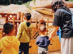 -杭州开元森泊度假乐园