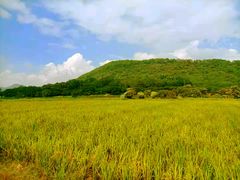 -风云岭森林公园