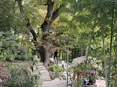 -塔川景区
