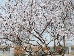 -太阳宫公园