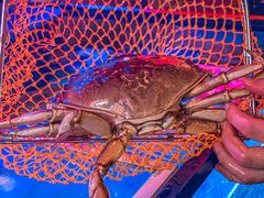 -The Boiling Crab宝灵蟹手抓海鲜(中国首店)