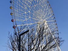 -南昌之星摩天轮