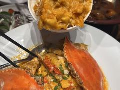 -连鹭海鲜·海肠捞饭·海胆饭(星海店)