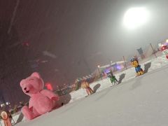 -沈阳奥体冰雪嘉年华