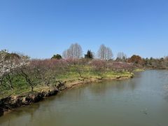 -上海海湾国家森林公园