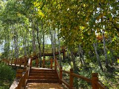 -塞罕坝国家级自然保护区