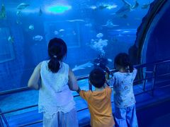 -太平洋海底世界