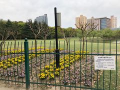 -黄兴公园