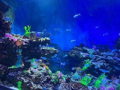 -上海海昌海洋公园