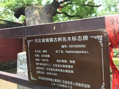 -天宁寺