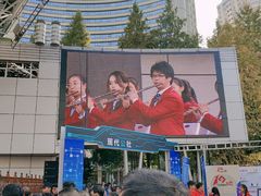 -麦当劳(七宝乐购店)