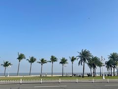 -太平洋咖啡(海天驿站店)